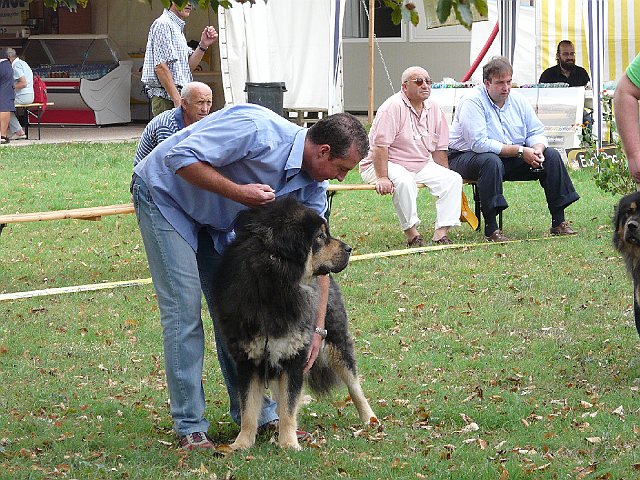img 021.jpg